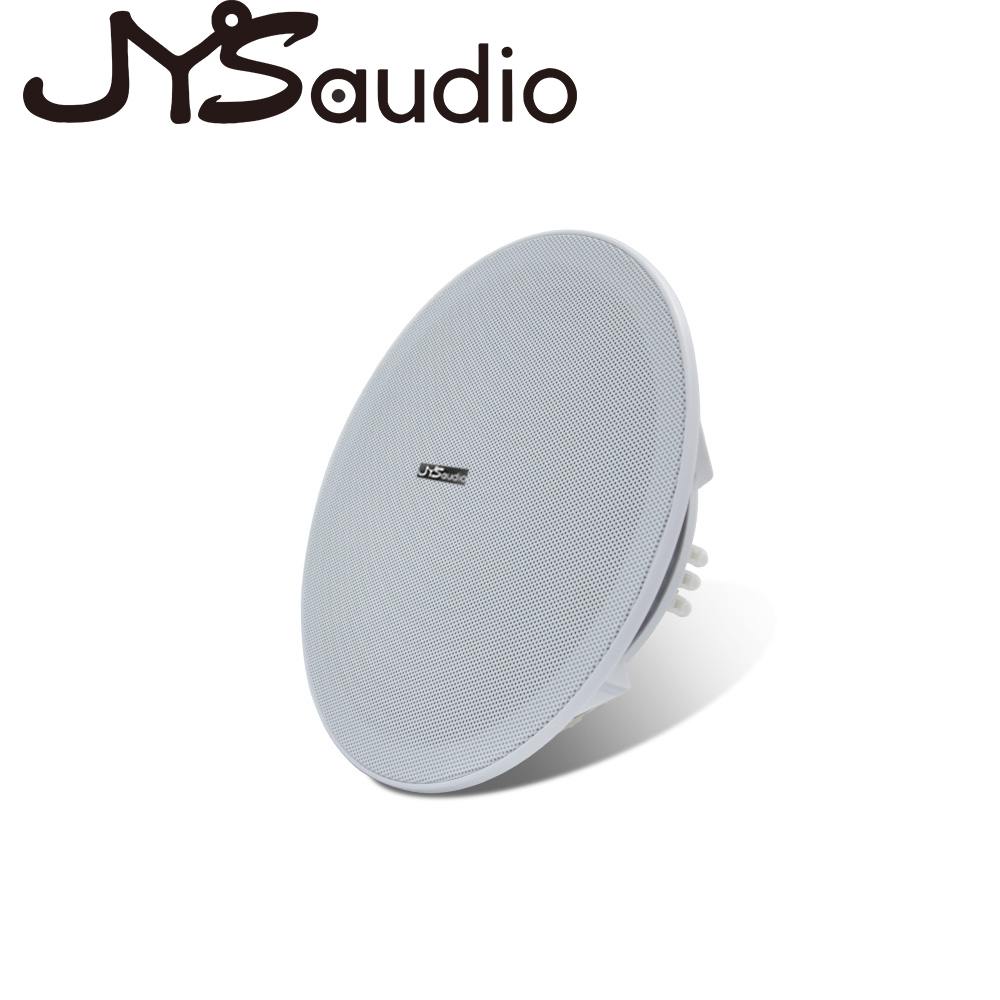 Audio Music In Background - Altavoz de techo de 20W, altavoz