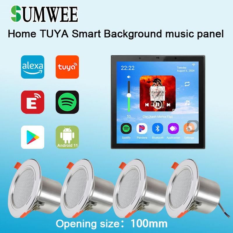 Amplificador de Pared con Alta - Audio Music In Background reseña y precio