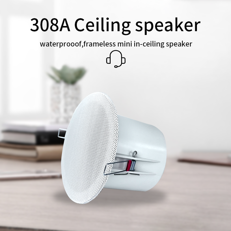 Altavoces de techo con sistema - Audio Music In Background reseña y precio