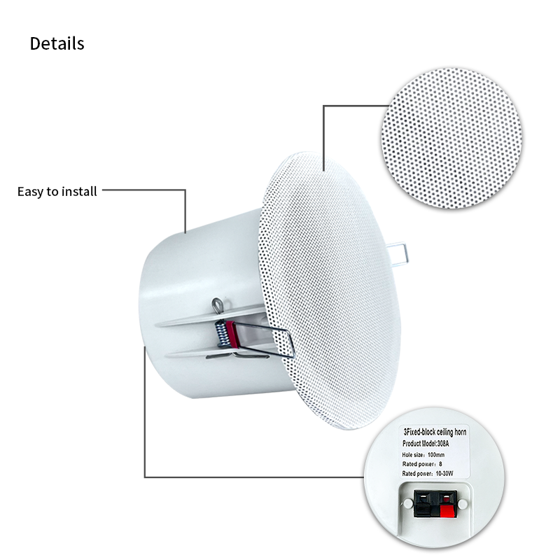 Altavoces de techo con sistema - Audio Music In Background reseña y precio