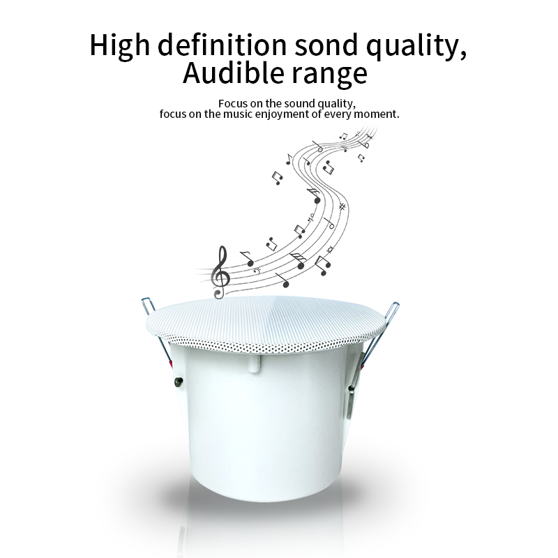 Altavoces de techo con sistema - Audio Music In Background reseña y precio