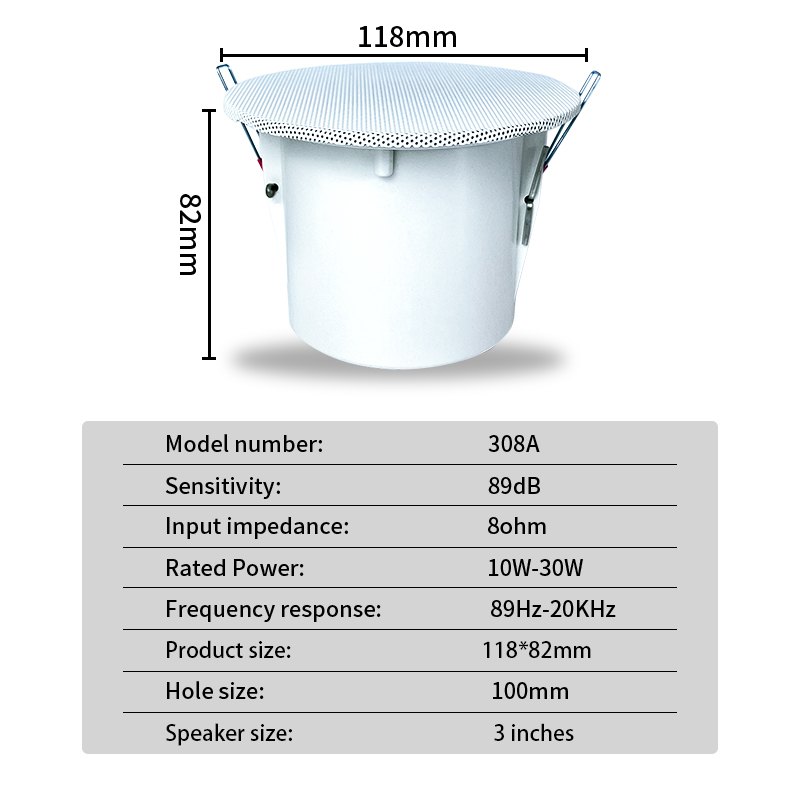 Altavoces de techo con sistema - Audio Music In Background reseña y precio