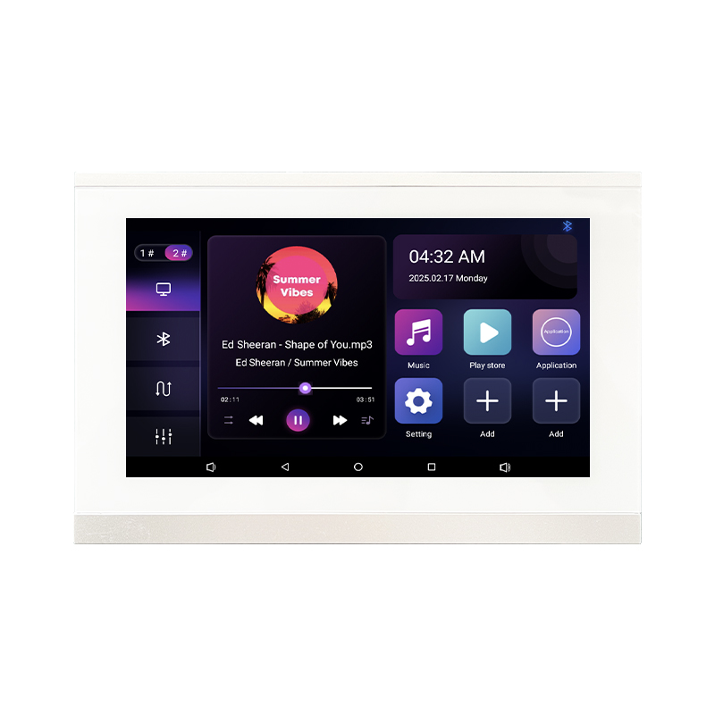 Amplificador de Audio de 2 Zon - Audio Music In Background reseña y precio