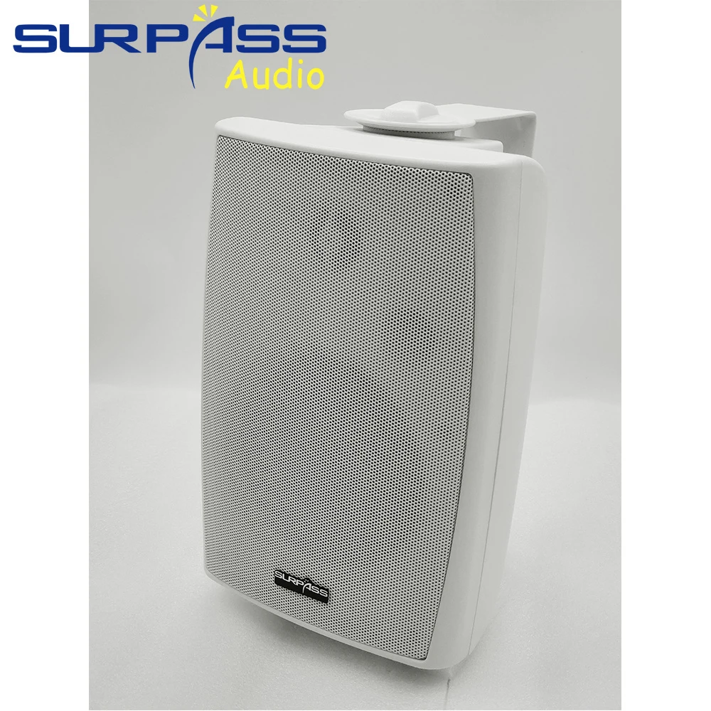 Sistema PA Altavoz de montaje  - Audio Music In Background reseña y precio