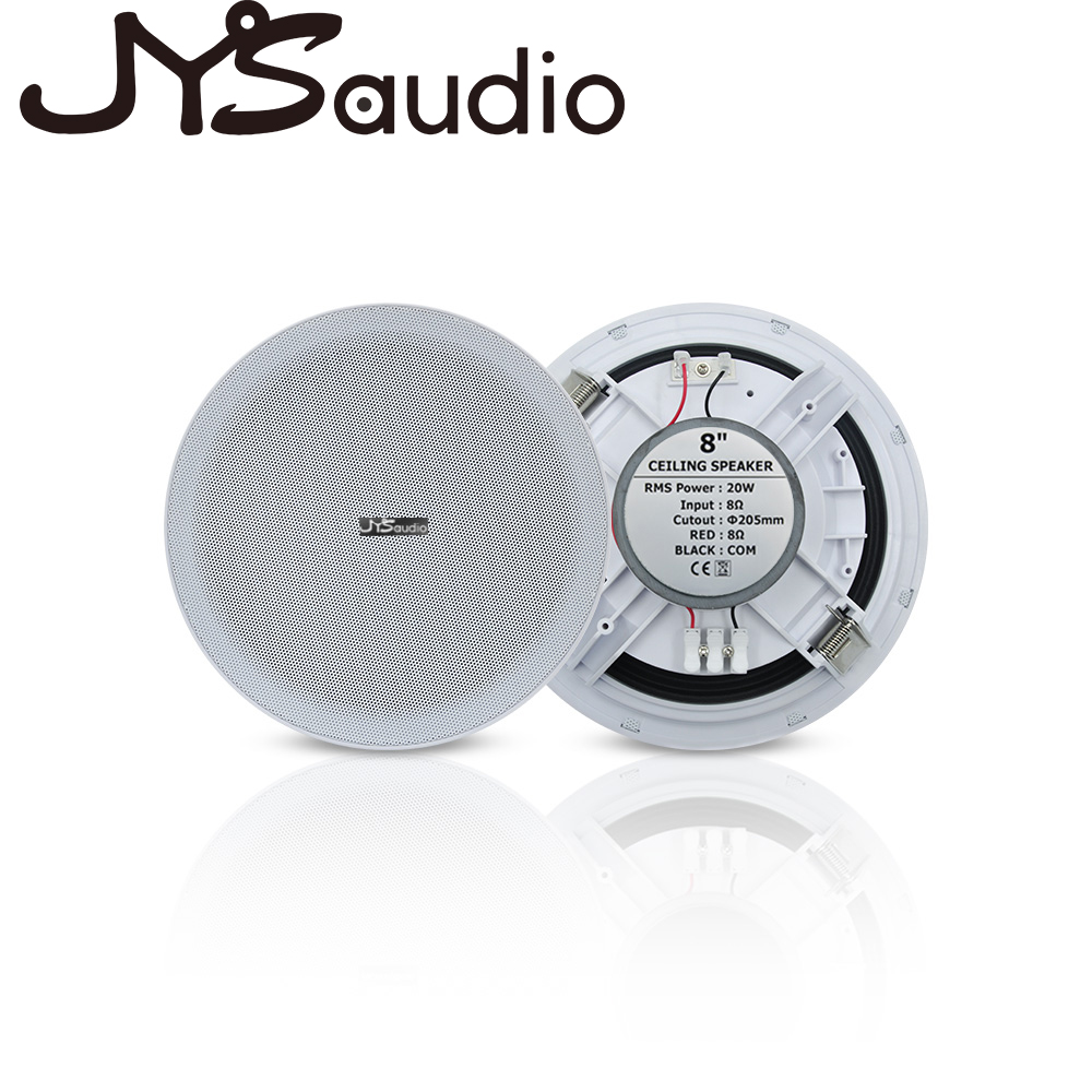 Altavoz de techo de 20W, altav - Audio Music In Background reseña y precio
