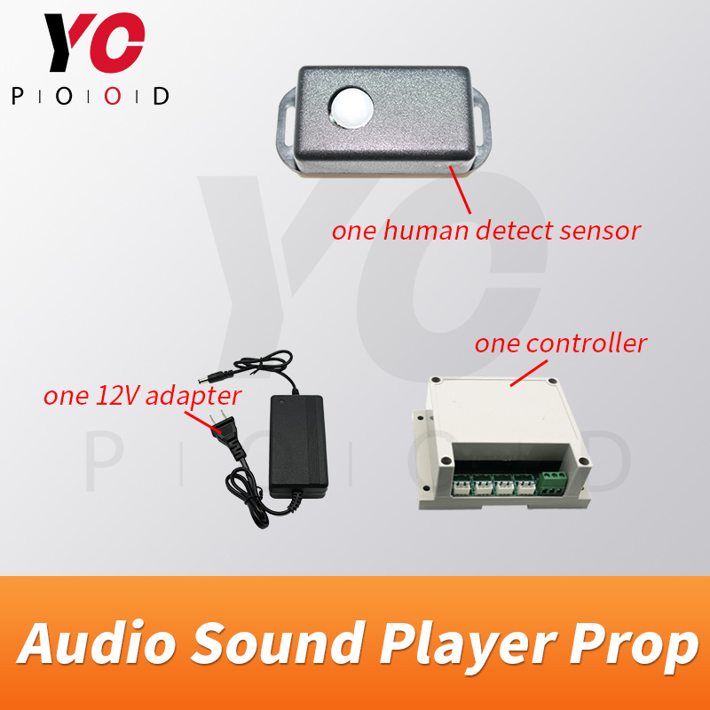 Reproductor de Audio YOPOOD, s - Audio Detect Music reseña y precio