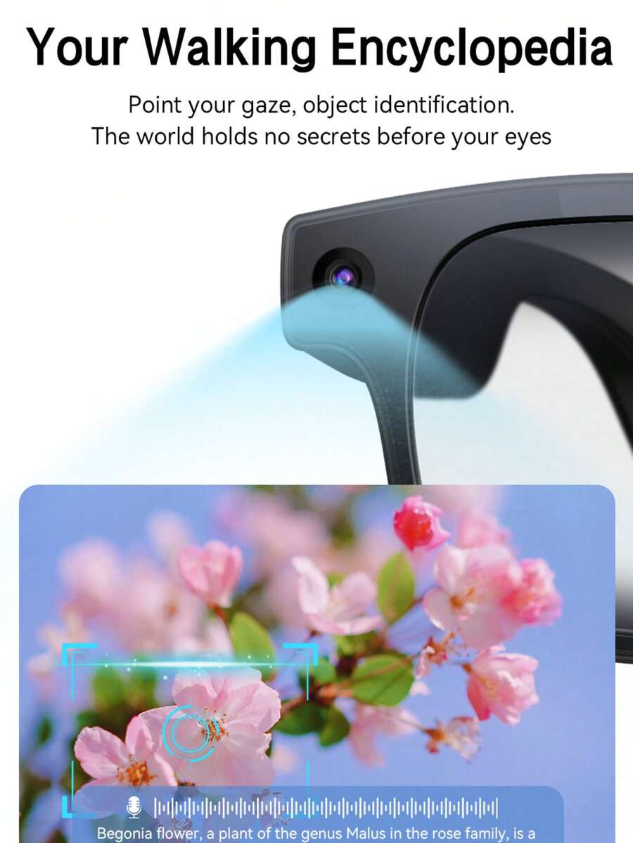 Gafas inteligentes con IA con  - Audio Music Recognition reseña y precio