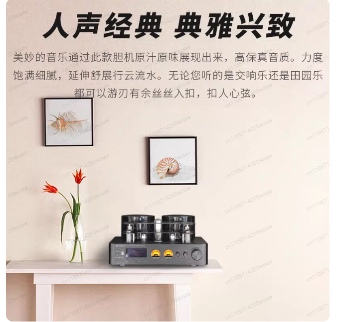 Amplificador de Potencia de Tu - Audio Youtube Music Free reseña y precio