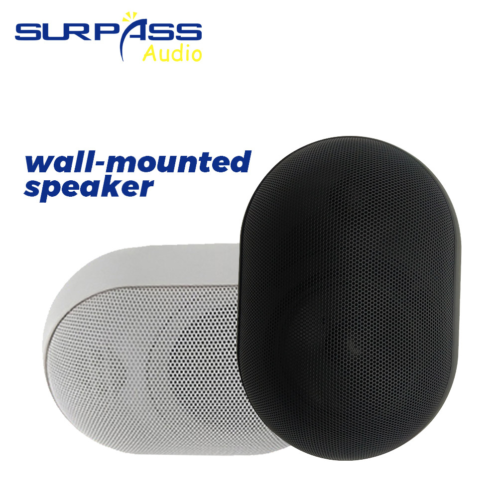 Altavoz de pared de 30W, resis - Audio Music In Background reseña y precio