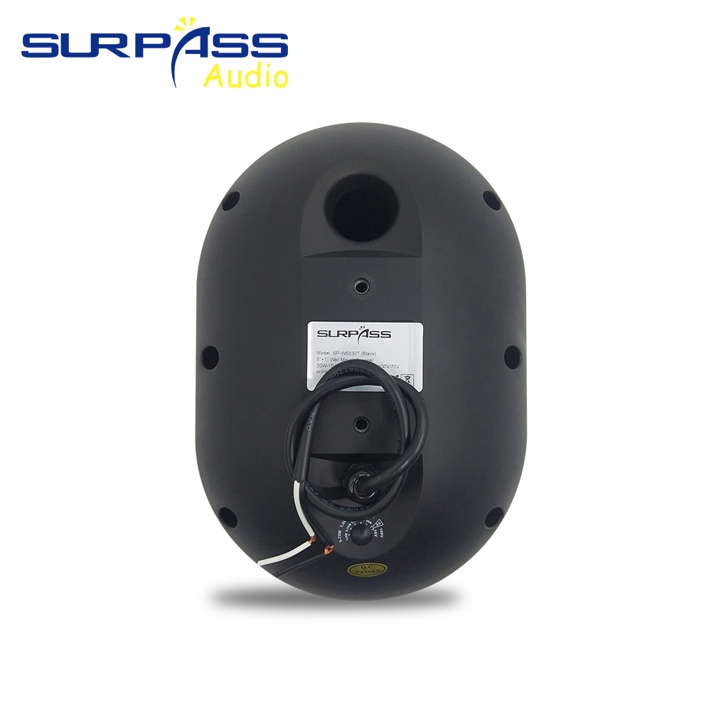 Altavoz de pared de 30W, resis - Audio Music In Background reseña y precio